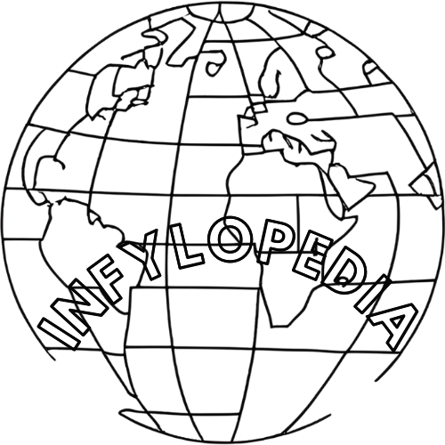 About Us 3 infylopedia