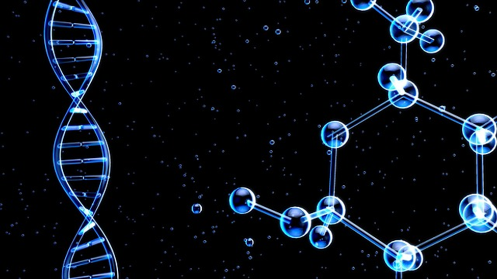 Structural Composition of DNA and RNA