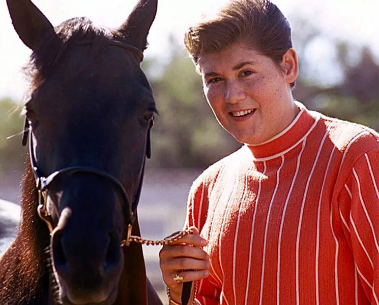Wayne Newton's Arabian horses